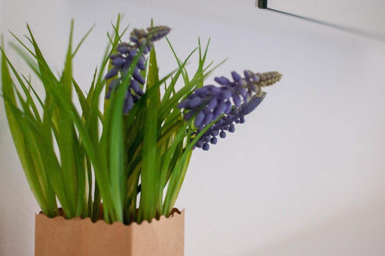 Budget Rooms Pilatus - Alpnachstad 外观 照片